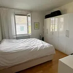 Miete 2 Schlafzimmer wohnung in Zurich