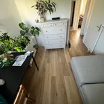 Rent 3 bedroom apartment of 76 m² in Berlin