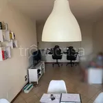 Rent 3 bedroom apartment of 80 m² in Spresiano