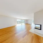 Rent 4 bedroom apartment of 152 m² in Zurich