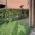 Rent 1 bedroom apartment of 50 m² in ferrara