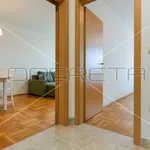 Rent 1 bedroom apartment of 55 m² in City of Zagreb