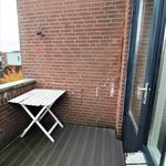 Kooiland, Leidschendam - Amsterdam Apartments for Rent