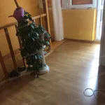 Rent 4 bedroom house of 95 m² in Kecskemét