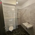 Pronájem bytu 1+kk 29m²