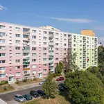 Rent 2 bedroom apartment of 41 m² in Česká Lípa