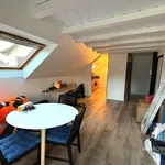  appartement avec 1 chambre(s) en location à Munster