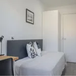 Rent 7 bedroom apartment in Madrid