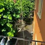 Rent 2 bedroom apartment of 80 m² in Bologna