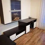 Rent 1 bedroom apartment of 43 m² in Brno