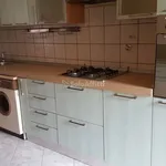 Rent 2 bedroom apartment of 45 m² in Turin