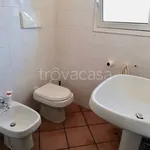 Rent 1 bedroom house of 50 m² in Monopoli