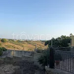 Rent 3 bedroom house of 80 m² in Menfi