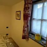 Rent 2 bedroom apartment of 41 m² in Aosta