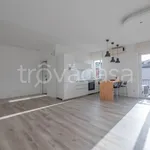 Rent 1 bedroom apartment of 45 m² in Milano