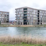 Rent 3 bedroom apartment of 144 m² in Arnhem