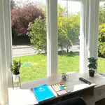 Rent 1 bedroom apartment in Leicester