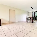 Rent 1 bedroom apartment in Perwez