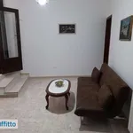 Appartamento arredato con terrazzo Scorrano