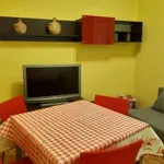 Rent 2 bedroom apartment of 50 m² in Turin