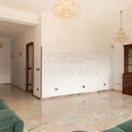 Rent 1 bedroom apartment of 148 m² in ROMA