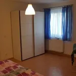 Rent 2 bedroom apartment of 50 m² in Nürnberg