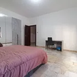 Rent 1 bedroom apartment of 47 m² in Catanzaro