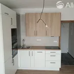 Rent 1 bedroom apartment of 33 m² in Brno