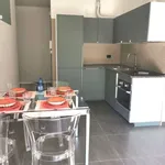 Rent 1 bedroom apartment of 50 m² in milan