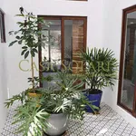 Rent 2 bedroom apartment in Guanajuato