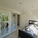 Rent 5 bedroom apartment of 80 m² in Bonn