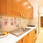 Rent 2 bedroom apartment of 80 m² in Roma