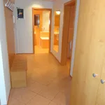 Rent 2 bedroom apartment of 65 m² in  ulice Hybešova