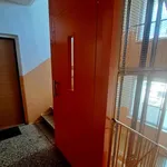 Rent 1 bedroom apartment in Sokolov