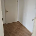 Rent 1 bedroom apartment of 40 m² in Dresden