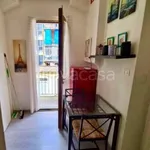 Rent 1 bedroom apartment of 20 m² in Torino