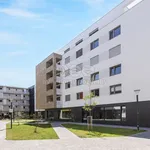 Pronajměte si 3 ložnic/e byt o rozloze 82 m² v Pardubice