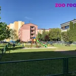 Rent 2 bedroom apartment in Přerov