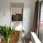 Rent 1 bedroom apartment in Leuven