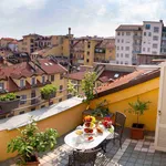 Rent 3 bedroom apartment of 120 m² in Turin