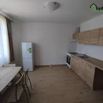 Rent 2 bedroom apartment of 44 m² in Dnešice