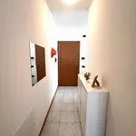 Rent 1 bedroom apartment in Trento