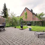 Rent 5 bedroom house of 105 m² in Onder de Bomen