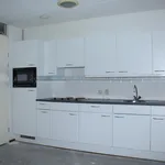 Rent 3 bedroom apartment of 111 m² in Papendrecht