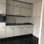 Rent 4 bedroom house of 80 m² in Maastricht