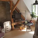 Rent 1 bedroom apartment of 45 m² in Berlin