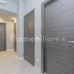 Rent 3 bedroom apartment of 80 m² in Turin