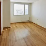 Rent 1 bedroom apartment of 38 m² in Capital City of Prague