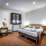 Rent 1 bedroom apartment of 30 m² in Florence