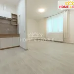 Rent 1 bedroom apartment of 35 m² in Sokolov